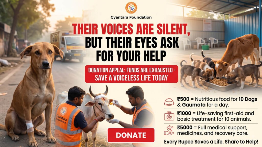 Save Injured Cows & Street Dogs