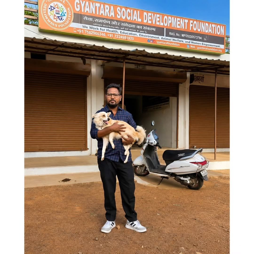 Animal Welfare Drive – Feeding And Treatment Of Dogs