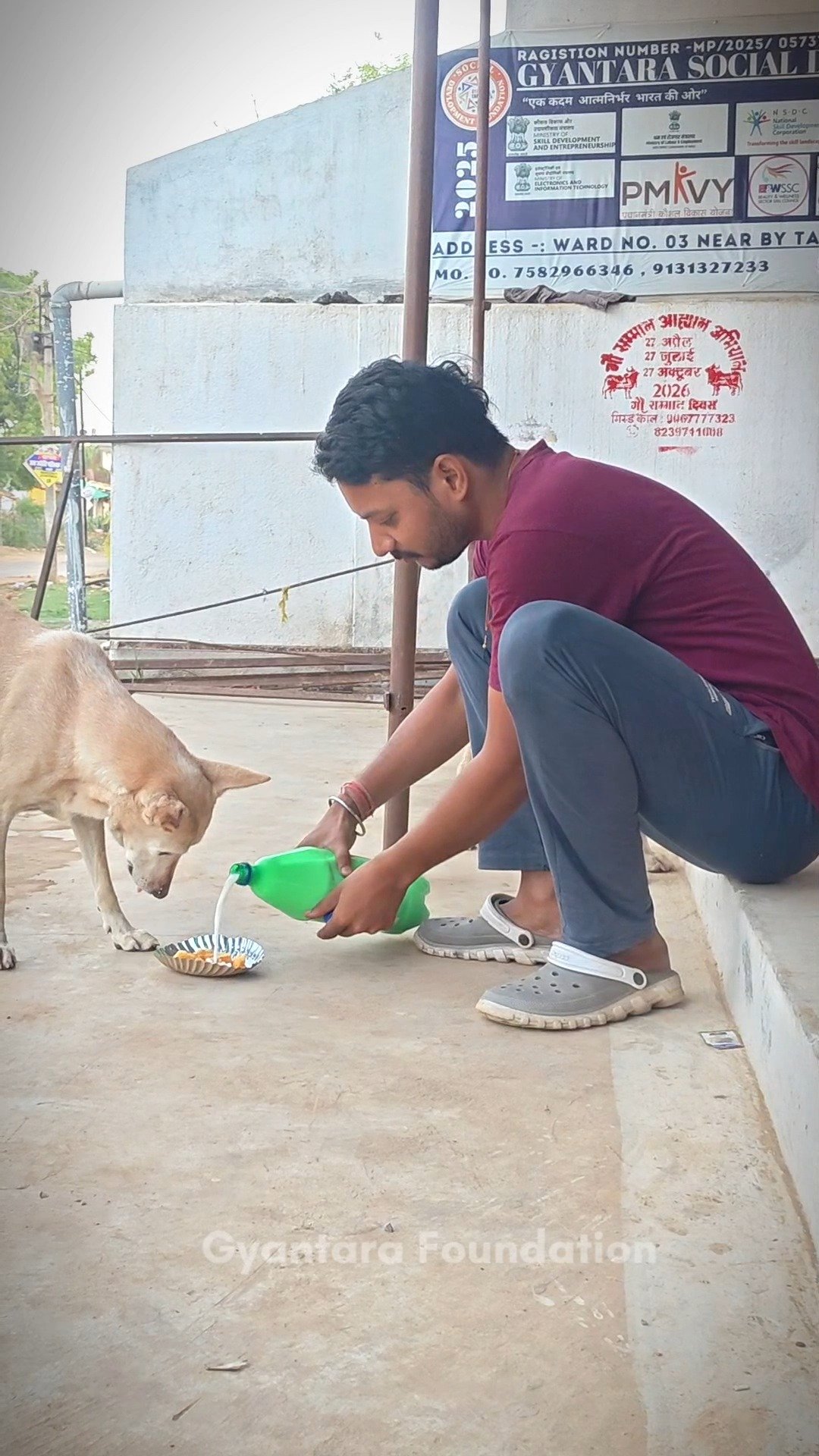 Animal Welfare Drive – Food To Doffy