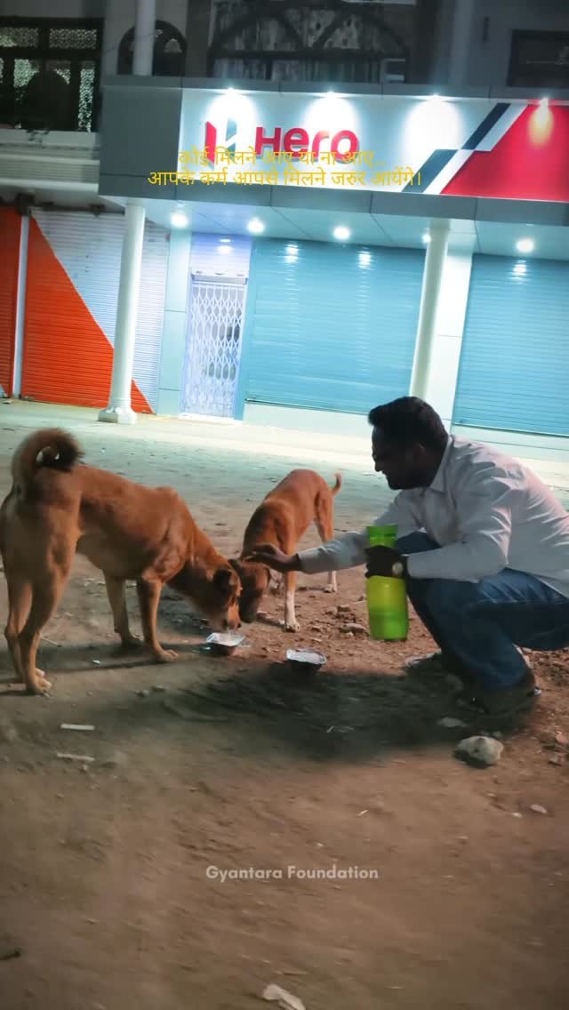 Animal Welfare Drive – Food To Dogs