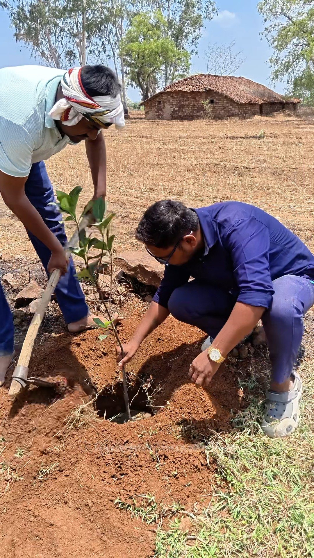 Tree Plantation Campaign – Planinting Trees