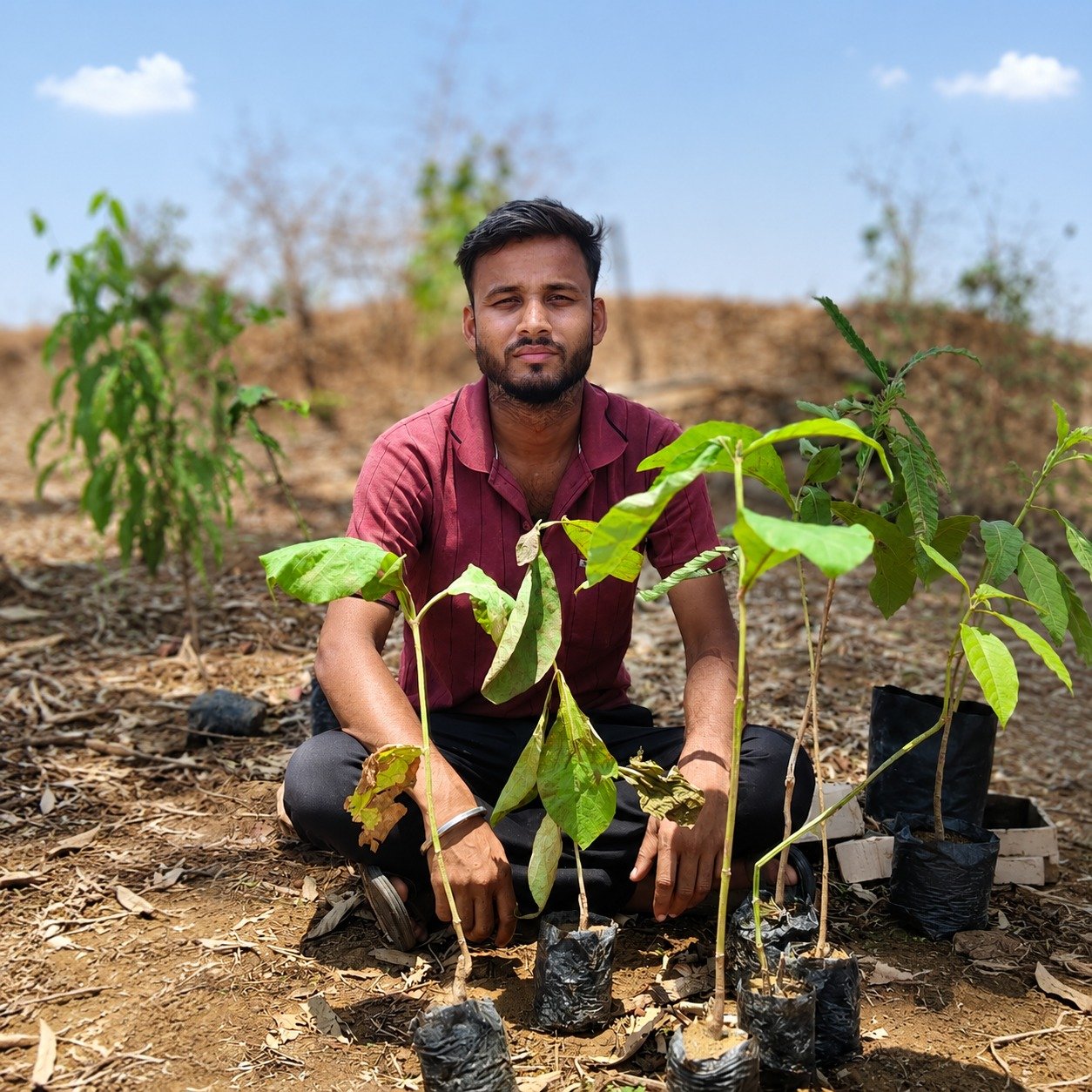 Tree Plantation Campaign – Plant The Treees